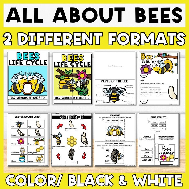 All About Butterfly Life Cycle Lapbook – ESL Science Craft Project for ...