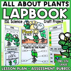 Plant Life Cycle Lapbook ESL Project | Informational Writing Unit | Present Simple Grammar Activities | Grades 2–5 Science & ELL Resource