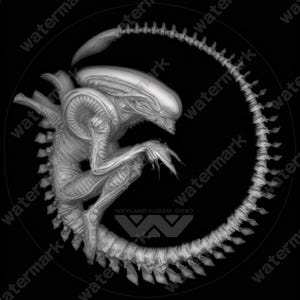 Aliens Coin Depth Map | Fiber Laser | Depth Map | 3D Laser Engrave | Xtool | Lightburn | 3d Embossing Files | PNG |