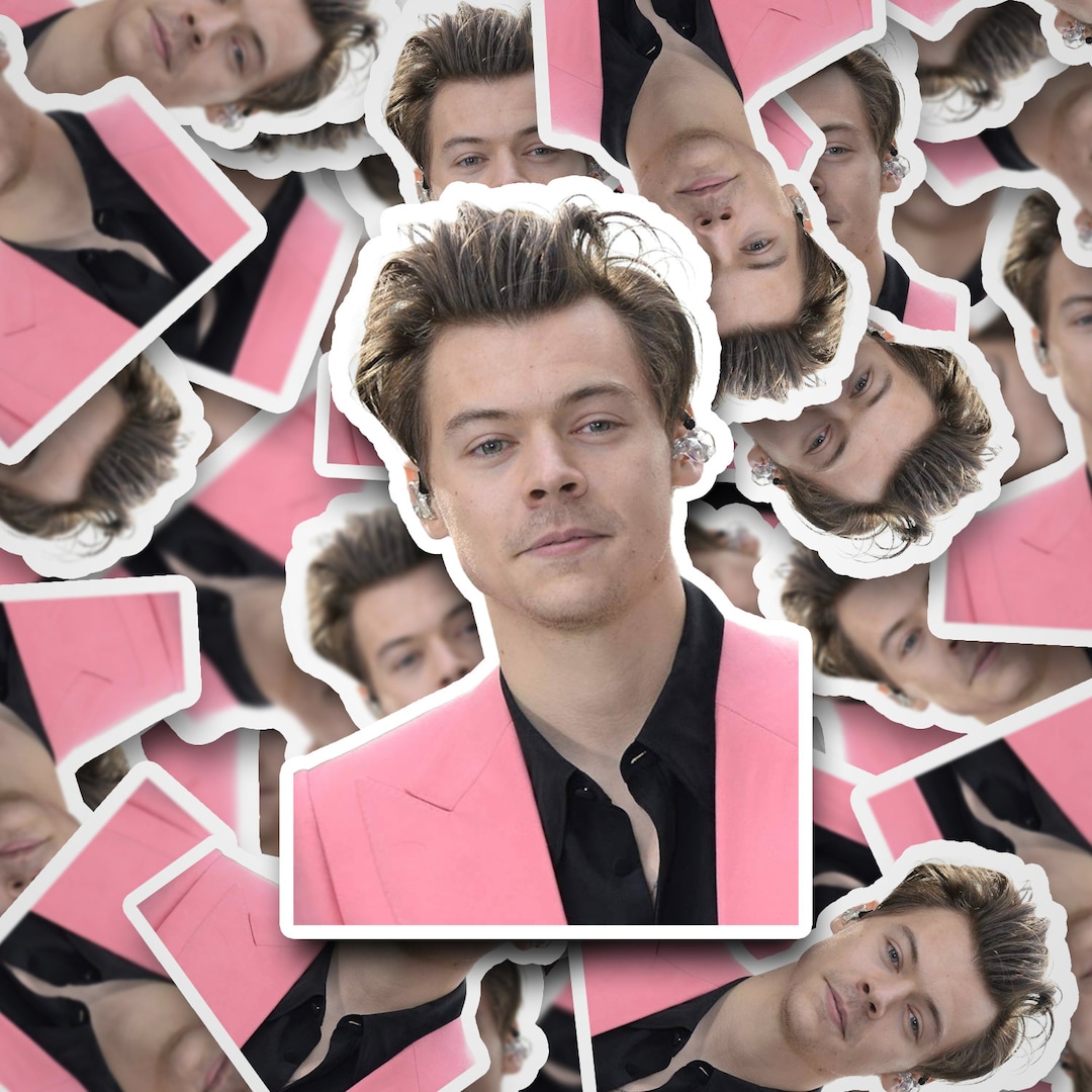 Harry Styles Headshot Sticker Harry Styles Stickers One Etsy