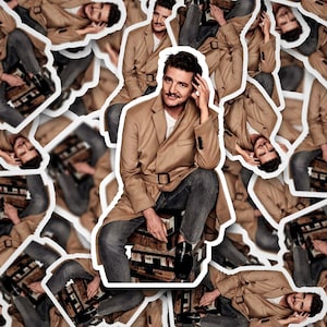 Pedro Pascal Boxes Sticker  Pedro Pascal       Vinyl Decal for Laptop, Tumbler, Phone