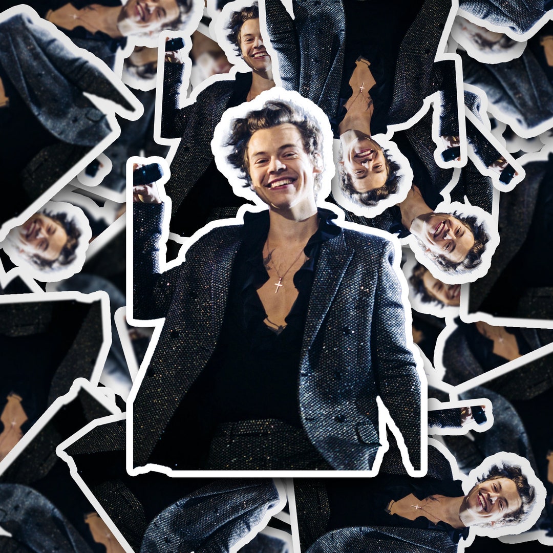 Harry Styles Sticker Harry Styles Stickers One Direction - Etsy