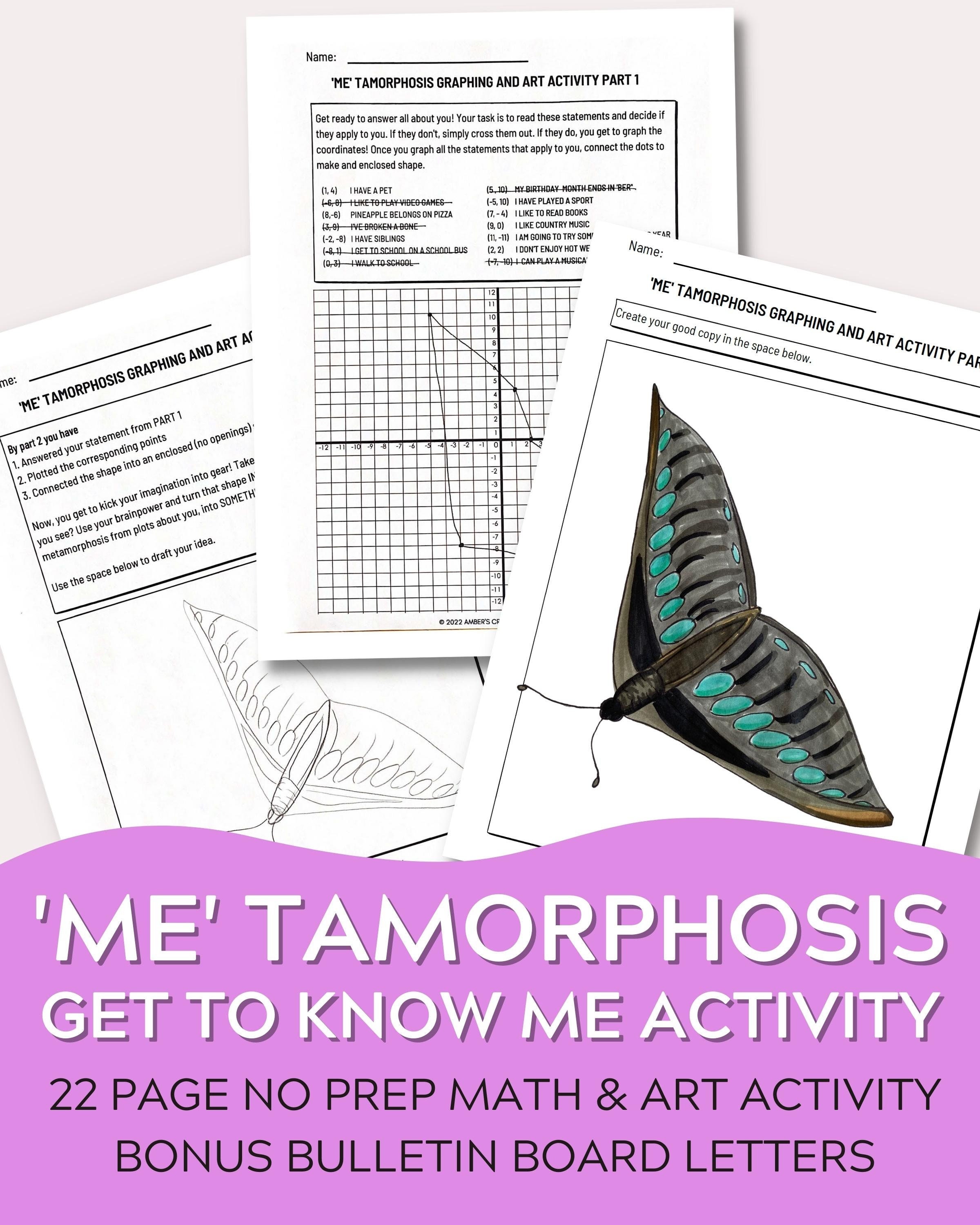 No Prep Metamorphosis Graphing Math and Art Back to School - Etsy