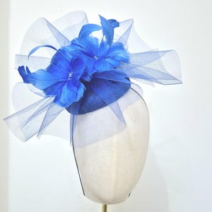 May include: A blue hat with a blue feather and netting embellishment.