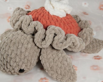 Pumpkin Pie Crochet Turtle