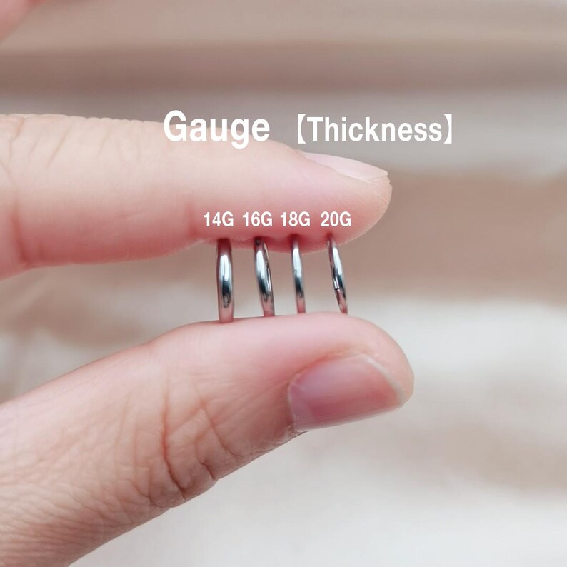 Solid Titanium Implant Grade Nose Ring, Simple Hinged Segment Nose Ring ...
