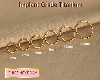 Titanium Hinge Hoop Segment Rings, Single Hoop, Double Hoop, Septum Clicker Ring, Cartilage Hoop, Nose Ring, Simple Bar Earring Hoop