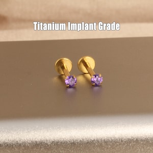 May include: Two gold-colored, titanium implant grade earrings with a small, round, purple gemstone. The text "Titanium Implant Grade" is displayed above the earrings.