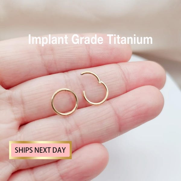 Anneau de nez en titane couleur or de qualité implantable, anneau de septum articulé, anneau daith, tailles 20G/18G/16G/14G