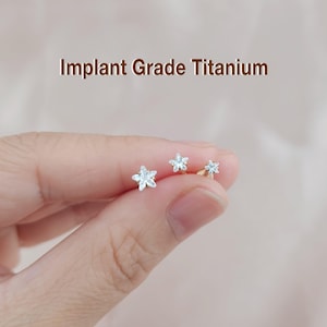 Titanium Star Cz stone Threadless Push Pin Labret, Cartilage Tragus Helix Nose Stud, Small Star Stud, 16g 18g 20g, Flat Back Earrings
