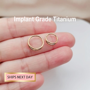 Goudkleurige titanium dubbele neusring neusring/kraakbeenring/conch-oorbel/Daith-ring/tragusring/helix-hoepel/hoepeloorbel 20G/18G/16G