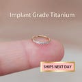 16G/18G/20G Gold color CZ Paved earring hoop, Hinged Clicker Hoop Earring, Cz Seamless Hinged Clicker, Nose Hoop, Septum Clicker Nose ring product logo