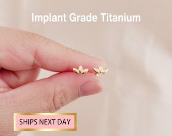 20G/18G/16G Tytanowy kolczyk Climber bez gwintu, kolczyk z płaskim tyłem, kolczyk Tragus, kolczyk Conch, kolczyk Helix, piercing chrząstki