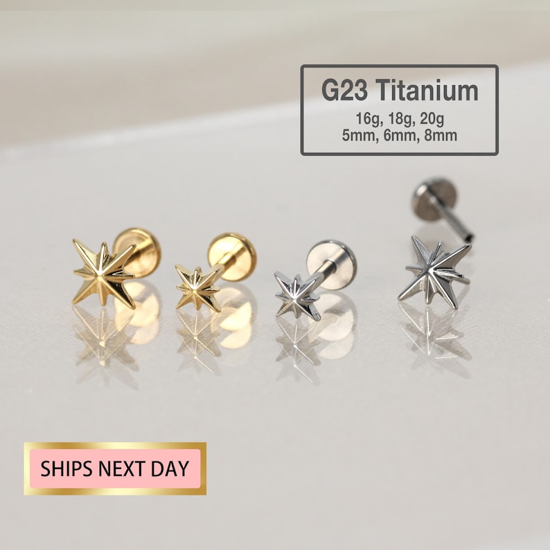 20G/18G/16G Tiny Starburst Stud Push Pin Labret Stud tragus stud conch oorbel helix/kraakbeen piercing Disc Flat Back Stud afbeelding 1