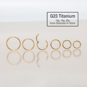 Orecchino rotondo 20G/18G/16G - Anello per il naso in titanio G23 massiccio - Cerchio per il naso - Orecchino rotondo - Cerchio a scatto con cerniera senza cuciture - Anello per il setto