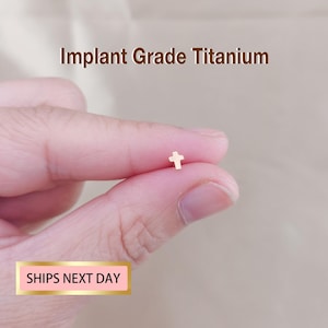 May include: A small, gold-colored cross earring. The text "Implant Grade Titanium" is above the earring. The text "SHIPS NEXT DAY" is in a pink box below the earring.