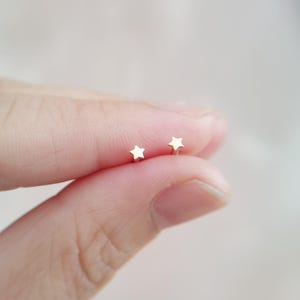 Titanium Tiny Star Threadless Push Pin Labret • 2/2.5/3/3.5mm Cartilage earring, Tragus, Flat Back Earring, Forward helix, Nose Stud afbeelding 9