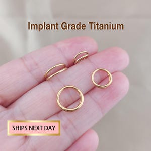 20G/18G/16G Titanium Double Hinge Hoop - Hinged Segment Nose Ring -Double Hoop Nose Hoop - Round Earring - Seamless Hinged Clicker Hoop