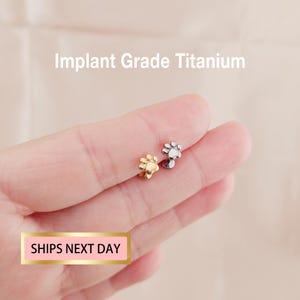 Titanium Tiny Paw Stud earrings Threadless Push Pin Stud, Flat Back Earring, Tragus Stud, Nose Piercing, Helix Stud, Nose stud 20G/18G/16G