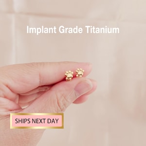 20G/18G/16G Tiny Paw Stud earrings Threadless Push Pin Stud, Titanium Flat Back Earring, Tragus Stud, Nose Piercing, Helix Stud, Nose stud