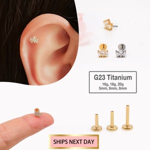 20G/18G/16G kleiner Marquise Blume Knorpel Ohrstecker - Tragus Ohrstecker - Muschel Ohrring - Tragus - Helix - Knorpel Piercing - Flacher Rücken Bolzen