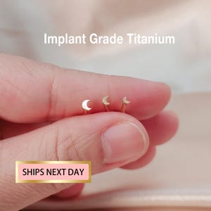 Labret a forma di mezzaluna senza filettatura, perno a forma di luna in titanio, orecchino per cartilagine, orecchino con parte posteriore piatta, elica anteriore, perno a forma di luna per il naso