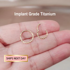 Petit cerceau de nez en titane de qualité implantaire, couleur or, diamant, anneau de nez segmenté articulé, septum, anneau à déclic 20G/18G/16G