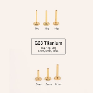 Op de afbeelding: Drie gouden titanium lichaamssieraden in verschillende maten. De maten zijn 16 gauge, 18 gauge en 20 gauge. De lengtes zijn 5 mm, 6 mm en 8 mm. G23 Titanium staat op de afbeelding.