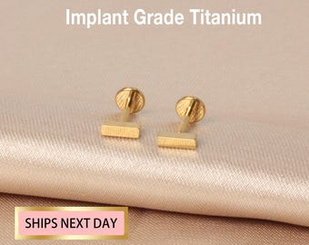 May include: A pair of gold-colored titanium bar earrings. The earrings are made of implant grade titanium and have a flat bar design. The earrings are shown on a light brown surface.