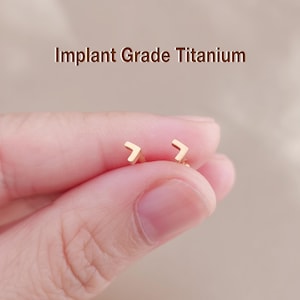 May include: A pair of small, gold-colored arrow-shaped earrings. The earrings are held between fingers against a soft, neutral background. The text "Implant Grade Titanium" is displayed above the earrings.