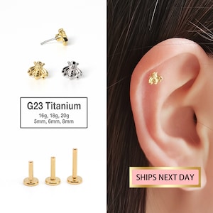 20G/18G/16G Tiny Bee Labret Flat Back Stud Titanio - perno trago - orecchino a conchiglia - trago - elica - piercing alla cartilagine - perno naso