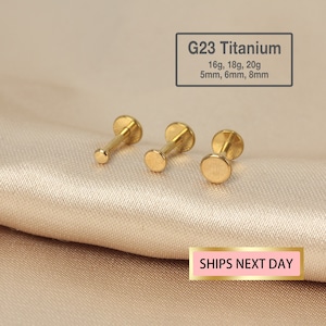 20G/18G/16G TINY Flat Disc Threadless Push Pin Labret Stud, 2 mm/3 mm/4 mm Tiny Dot Cartilage orecchino, perno trago, perno posteriore piatto