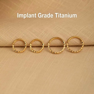 Tiny Nose Hoop Titanium Implant Grade Diamond Cut Nose Ring, Hinged Segment Nose Ring Gold Color Septum Clicker Ring 20G/18G/16G