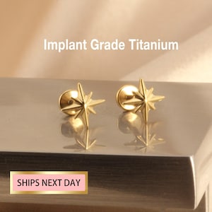 20G/18G/16G Tiny Titanium Starburst Stud Push Pin Labret Stud - tragus stud - conch earring - helix/cartilage piercing - Disc Flat Back Stud