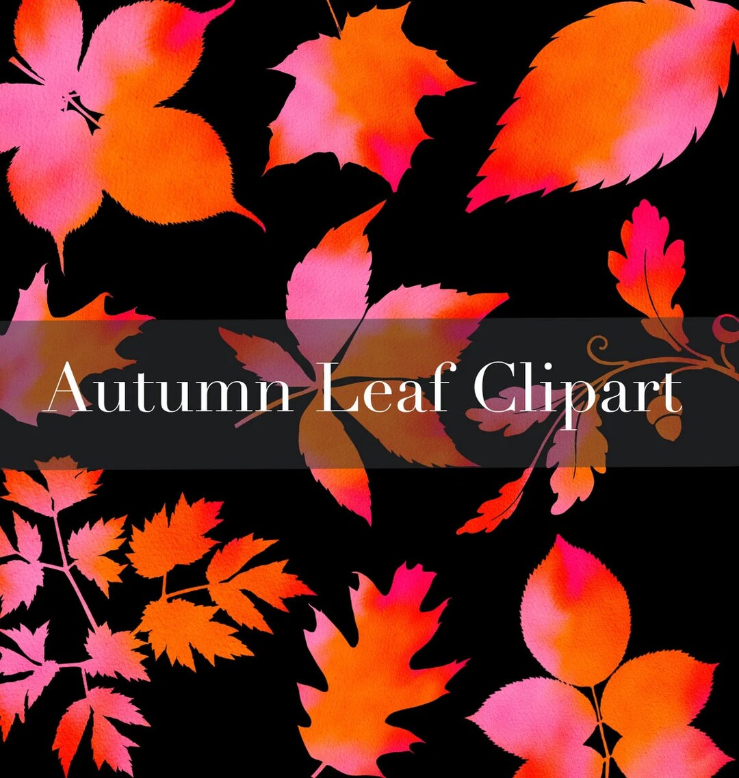 Fall Leaves Clipart, Autumn Leaf Clip Art, Watercolor Leaves Png, Pink ...