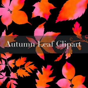 herfstbladeren clipart, herfstblad illustraties, aquarel bladeren png, roze herfstbladeren, rode herfstblad png, aquarel water textuur, tak