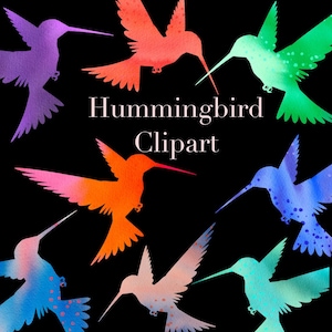 Hummingbird clipart, watercolor clip art, bird clipart download, hummingbird art set, colorful watercolor clipart, commercial use clipart