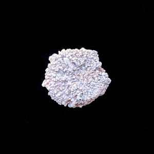 May include: A light-coloured, textured mineral specimen against a black background. The mineral has a clustered, crystalline structure with shades of white and pale pink. The overall shape is irregular and organic, suggesting a natural formation.