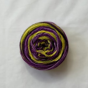 Mystery Skein Shades of Purples and Chartreuse