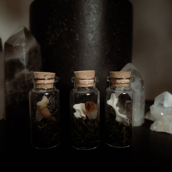 Curio Spell Jars