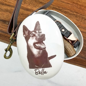 Pet Urn for Dog, Pet urn for dogs ashes, Dog Urn with picture, Pet Memorial Photo Frame, Urn for dogs, pet urn for cats, pet Memorial urn