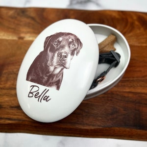 dog memorial customized pet memory box for dog collar holder personalized pet memorial keepsake urn for ashes