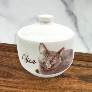 modern pet urn with photo and name