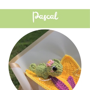 Pascal PDF Pattern | Pascal PDF Pattern | English & Spanish image 8