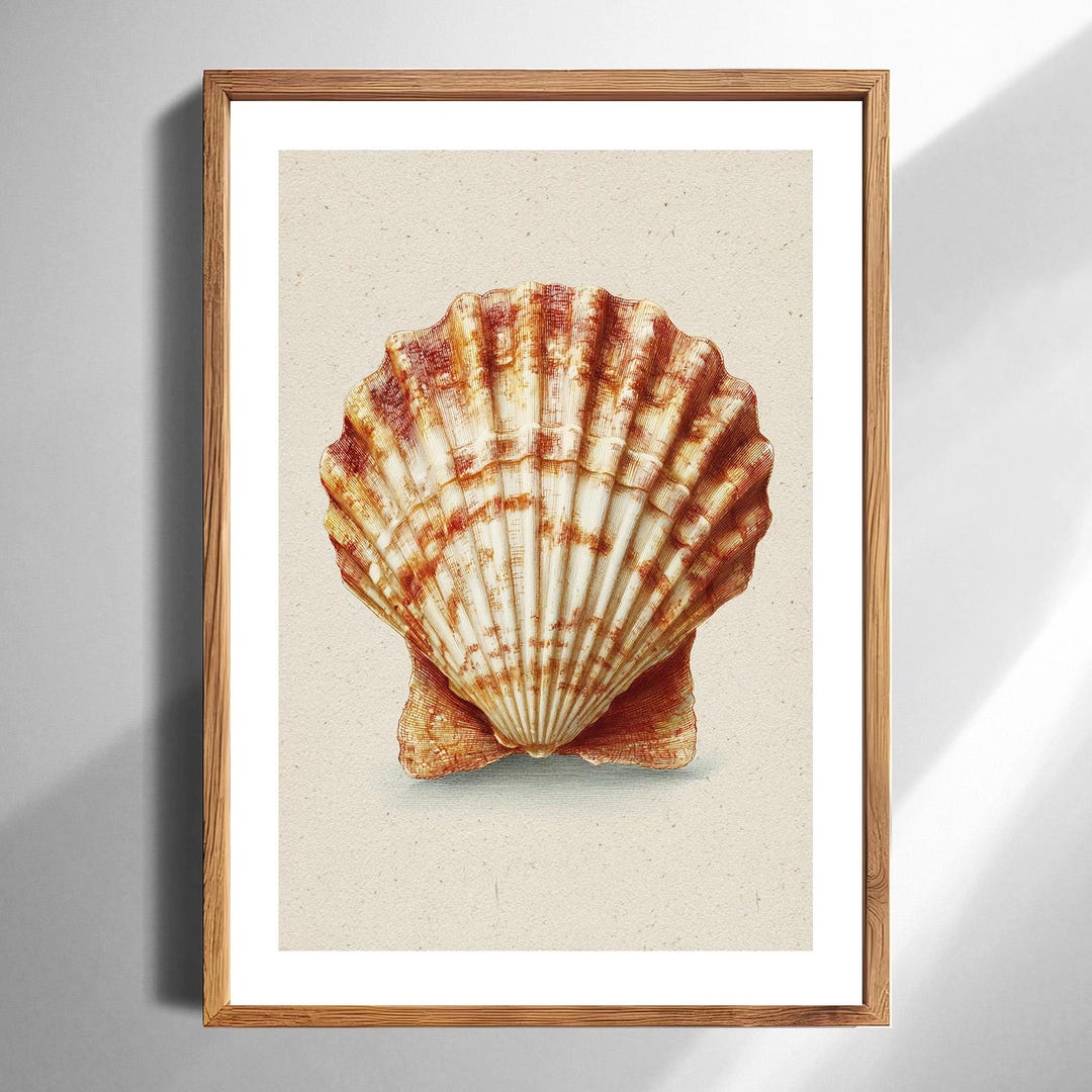 Scallop Shell Poster Vintage Scallop Shell Art Print Coastal Decor for Beach House Neutral ...