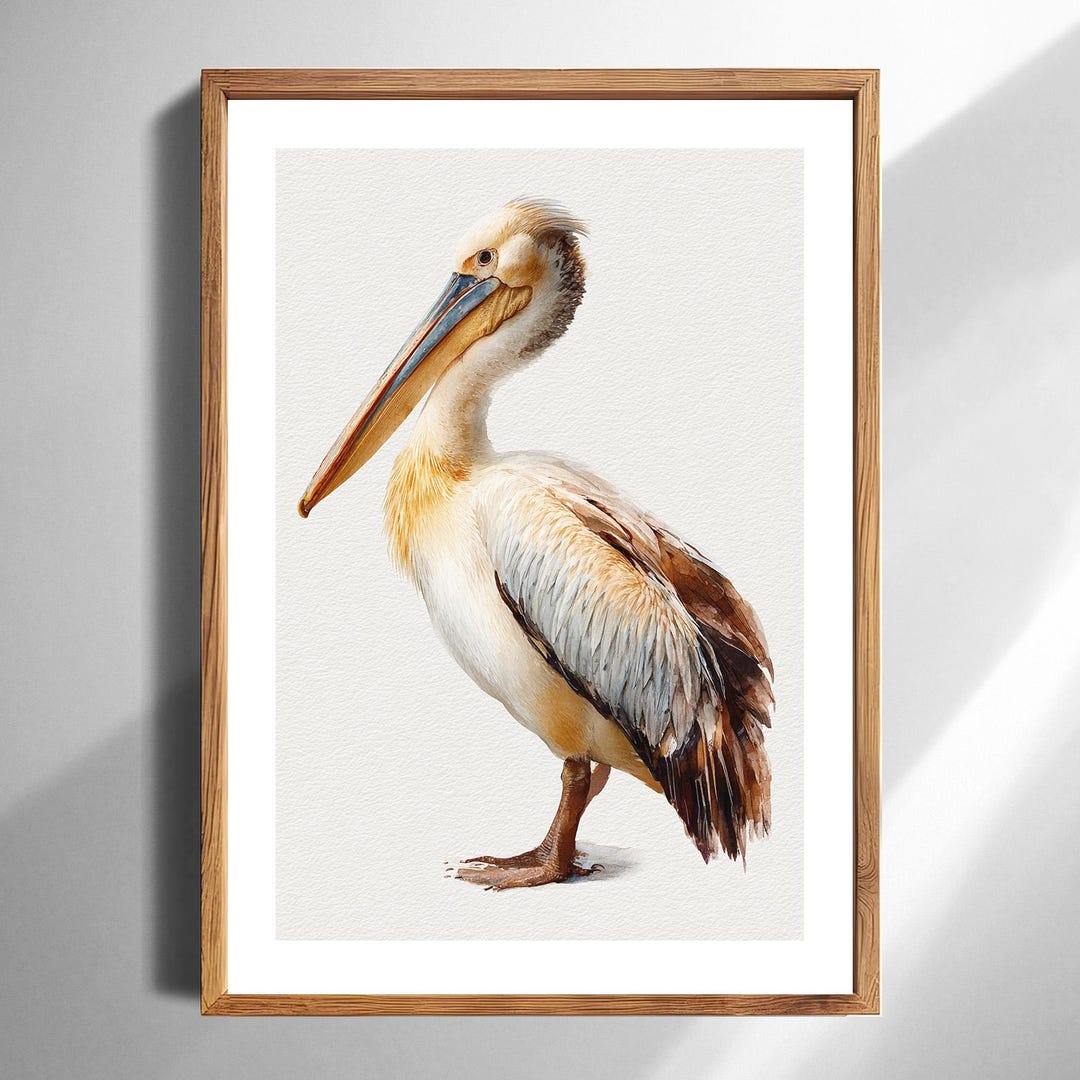 Pelican Art Print Coastal Wall Decor for Beach House or Nursery ...