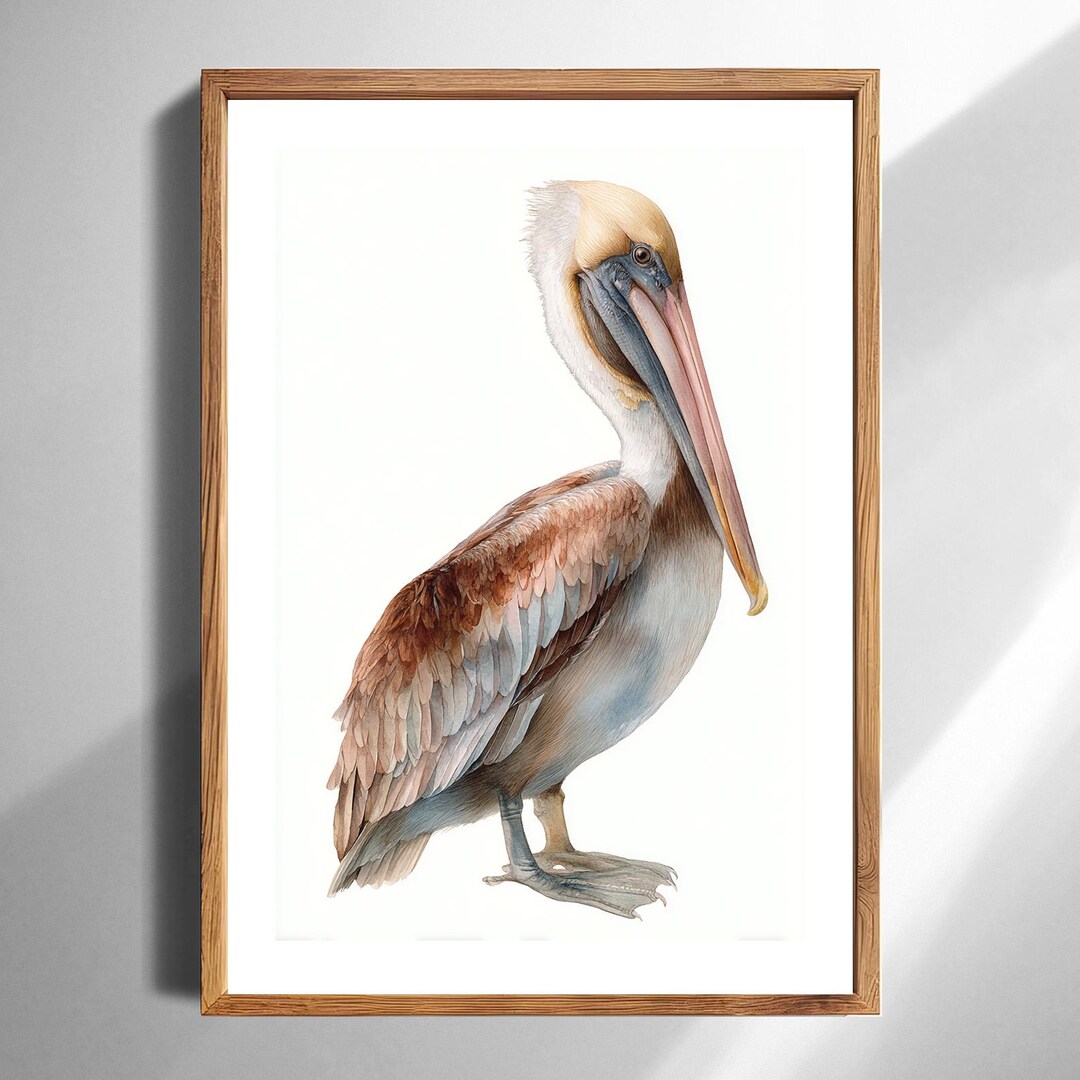 Watercolor Pelican Art Print Coastal Bird Wall Art for Beach House ...
