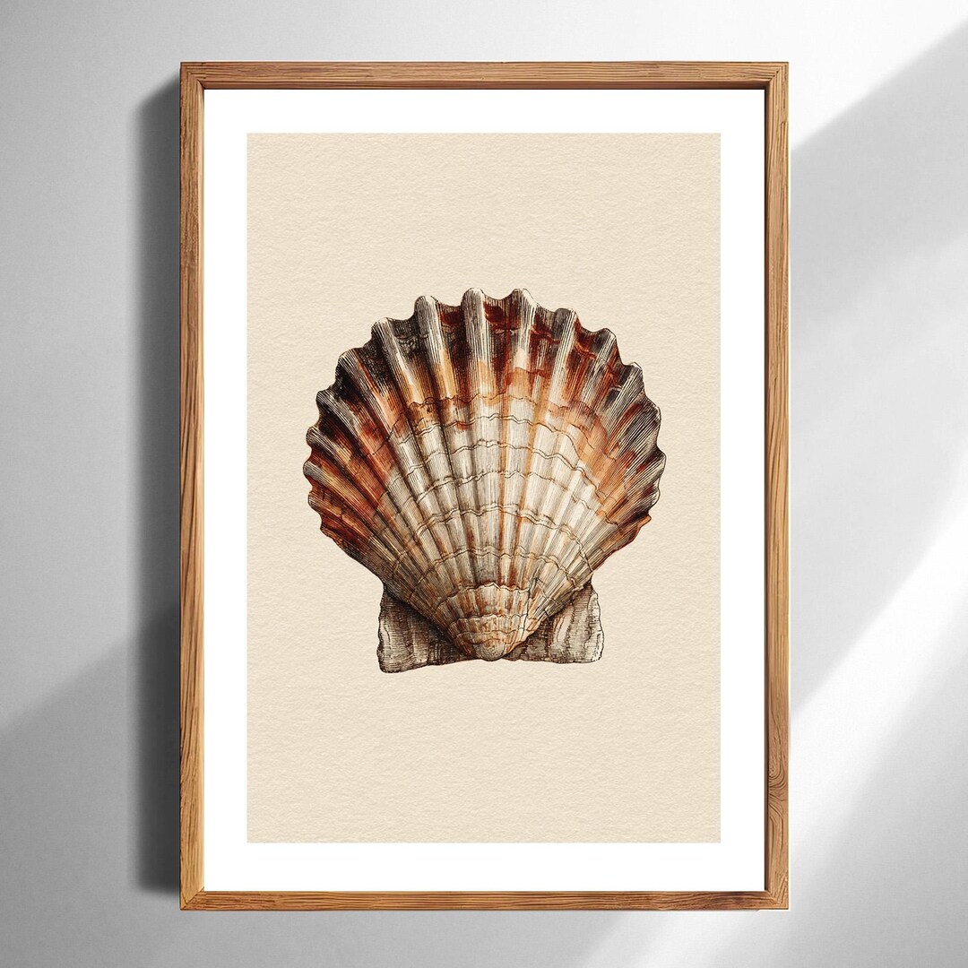 Scallop Shell Poster Scallop Shell Watercolor Wall Art Print Coastal Beach Home Decor ...