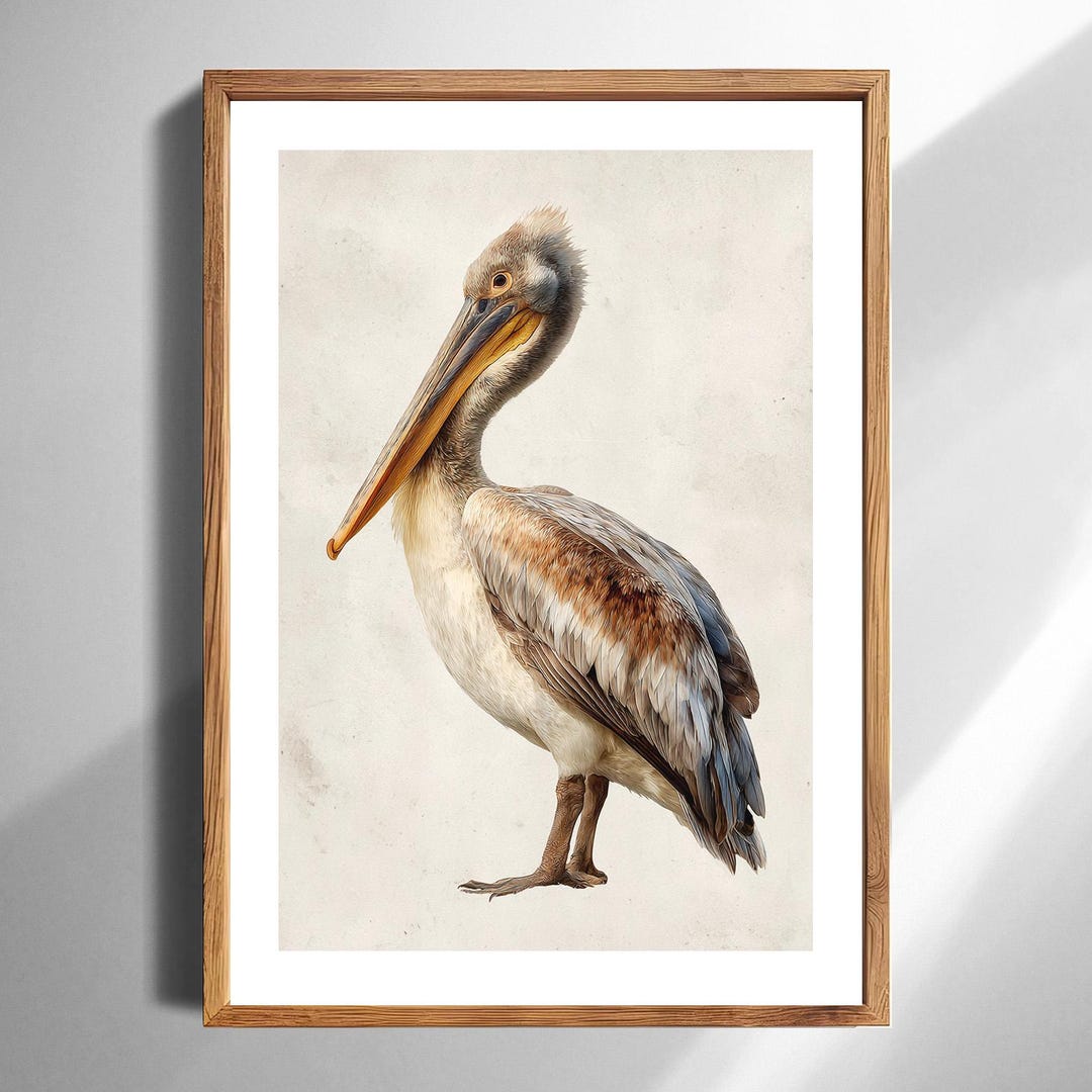 Vintage Pelican Art Print Coastal Wall Decor Nautical Bird Illustration ...