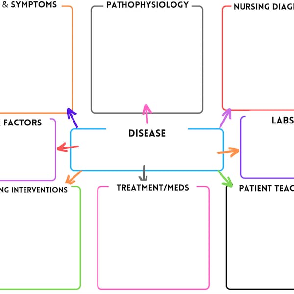 Nursing Concept Map Etsy
